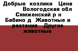  Добрые  козлики › Цена ­ 6 000 - Вологодская обл., Сямженский р-н, Бабино д. Животные и растения » Другие животные   